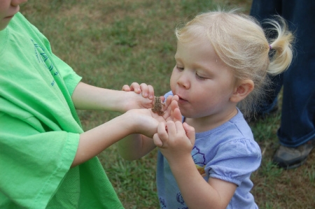 Lizzie and Her Frog Prince