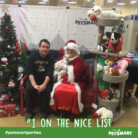 PetSmart Christmas 2019