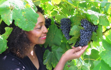 Vineyard Harvest: Industry, Texas