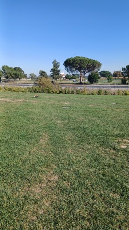 Forest Lawn Memorial Park in Cypress 