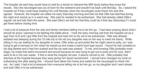 Ollie's Medical Problems - page-2