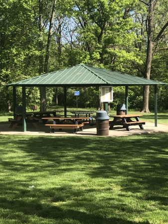 Rick Gardner's album, LMHS Class of 1969 - 70th Birthday Picnic