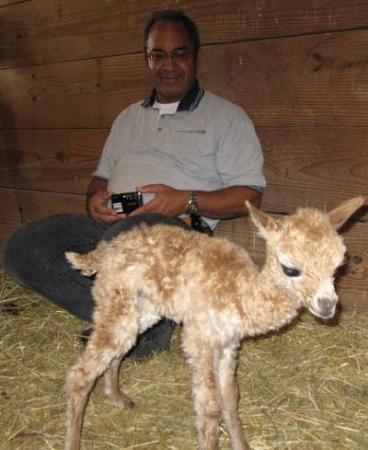 Brand new baby cria!