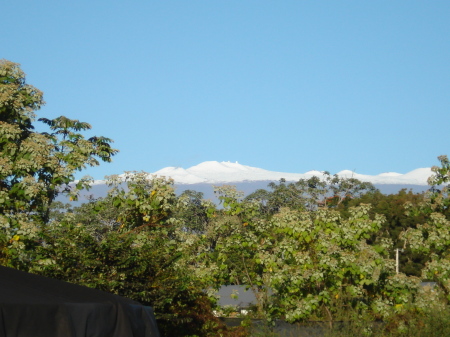 Maunakea view from my home on Big Island