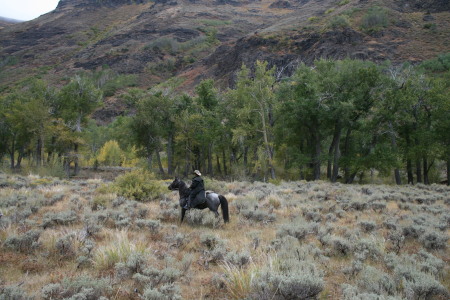 Verle Steele's album, Riden' The Steens