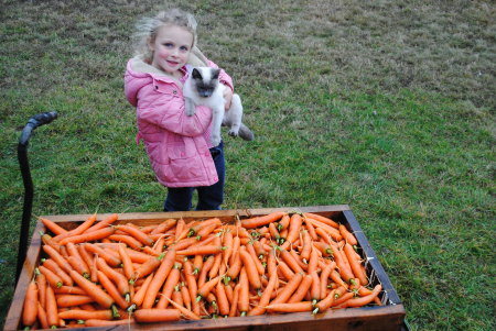 Great granddaughter, Cat & carrots!