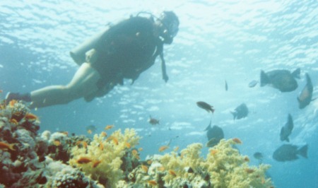 Hutchins Scuba Diving in Red Sea - June 1990