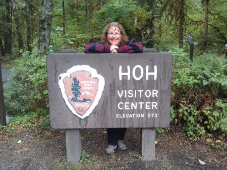 Hoh rainforest Olympic National Park