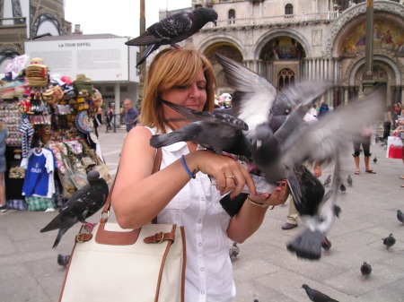 Feeding pigeons in the square in Venice, Italy