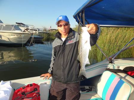 CA Delta - Striped Bass Fishing  - 2015