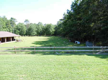 Pasture