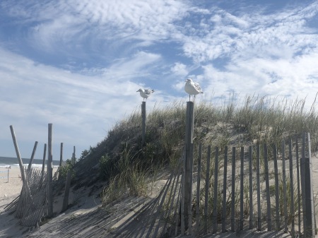 Island Beach State Park