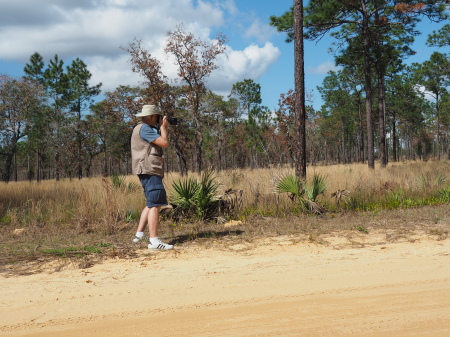 Ocala National Forest