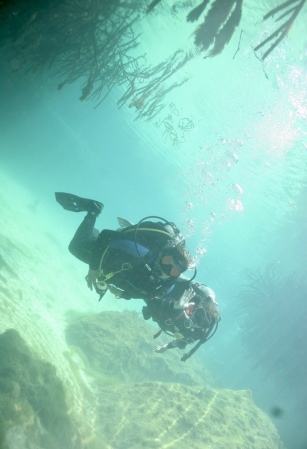 Diving Casa Cenote, Tulum Mexico,  May 2023