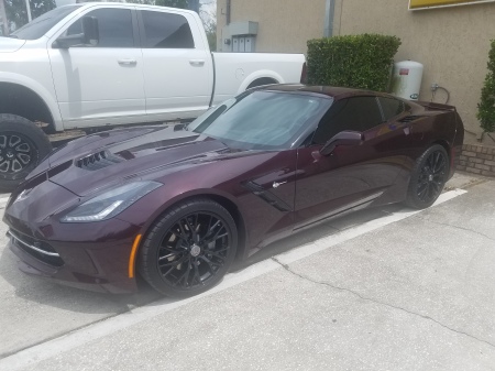 Dales 2017 Black Rose corvette