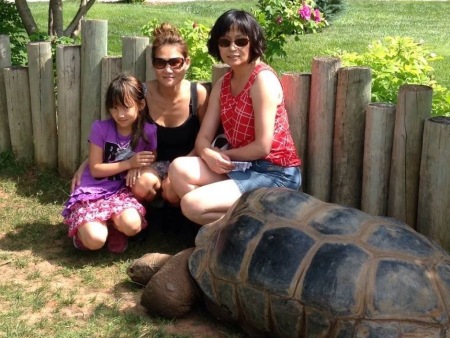 Mount Rushmore, North Dakota (turtle farm)