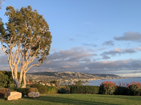 Crescent Bay in Laguna Beach my home.