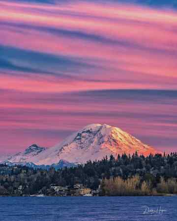 MT RAINER WITH PINK SUNSET