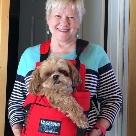 Toby loves his pet carrier