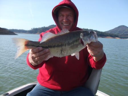 Lake Shasta Bass