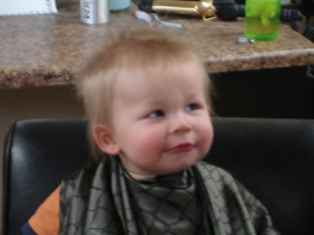 Dub's first hair cut