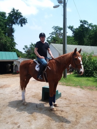 English saddle/jumping, 2019  :)