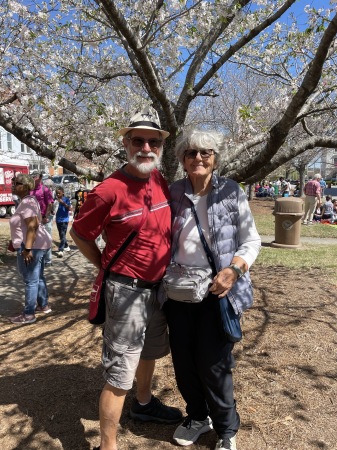 Cherry blossom festive. Macon GA