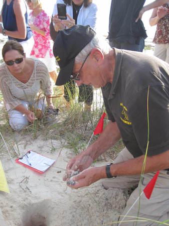 William Wargo's album, Alligator Point Sea Turtle Patrol 