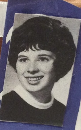 Pam Hobday's Classmates profile album