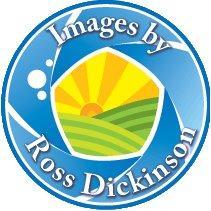 Ross Dickinson's Classmates® Profile Photo