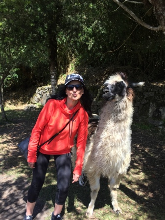 Machu Picchu, Peru - May 2019