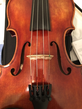 My Violin Italian