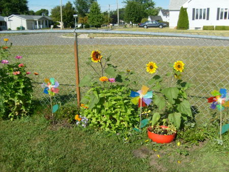 Glenda loves to plant flowers