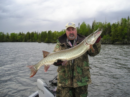 Lake Vermilion Musky