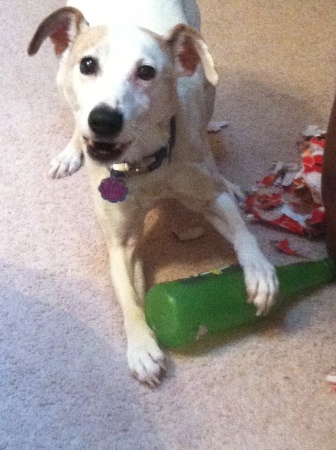 George opening Christmas presents - 2015