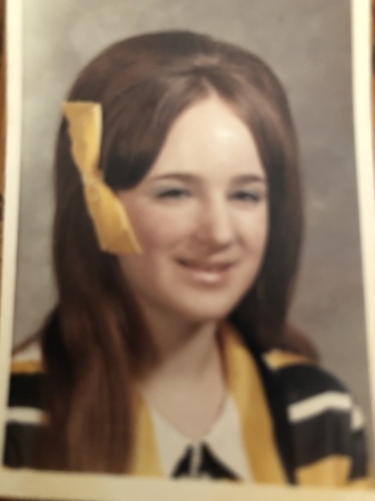 Lynne Meisch's Classmates profile album