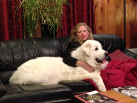 Misty, our female pyrenees, with Kathy