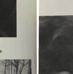Roy Auerbach's Classmates profile album