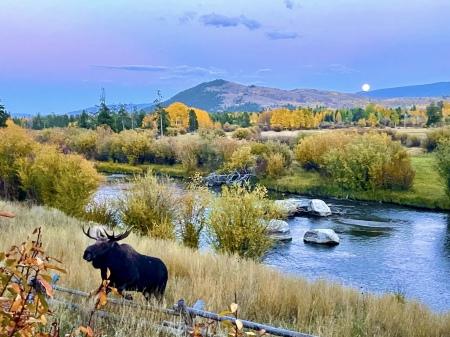 Evening drive Fish Creek N of Wilson Wy