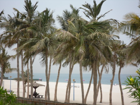 Jumiera beach Dubai (Persian Gulf)