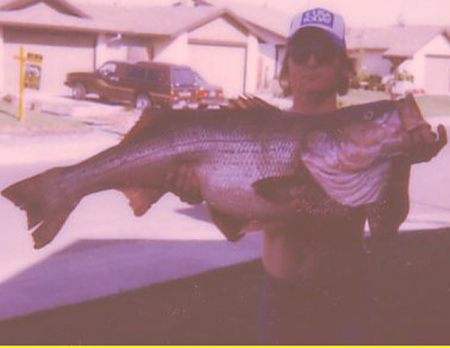 47 Poung Striped Bass from Sacramento River at Discovery Park 1997