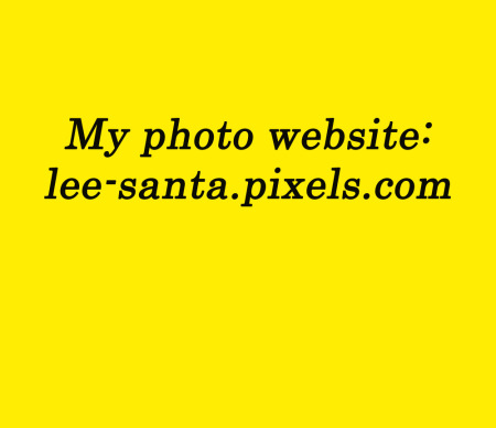 Lee Santa's Classmates profile album