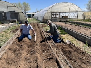 Prepping raised beds at farm.