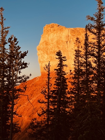 Bryce-Old Goat-on the way to Rainbow Point