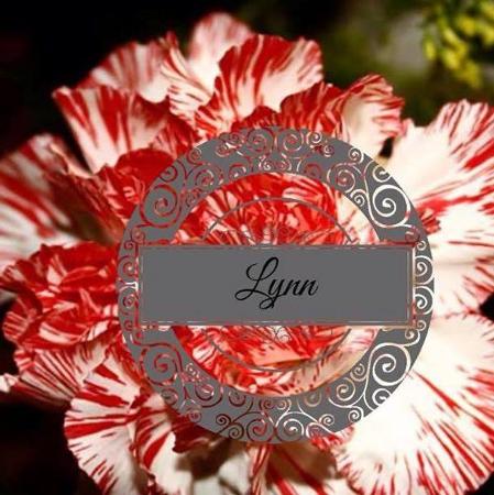 lynn bloomberg's Classmates® Profile Photo