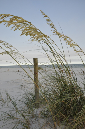 Pensacola Beach