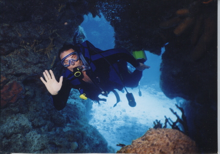 Diving Bonaire