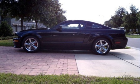 Stang in Florida
