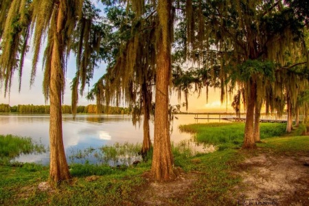 Inverness, FL … my home