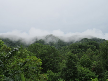 Clinch Mountain with Fog
